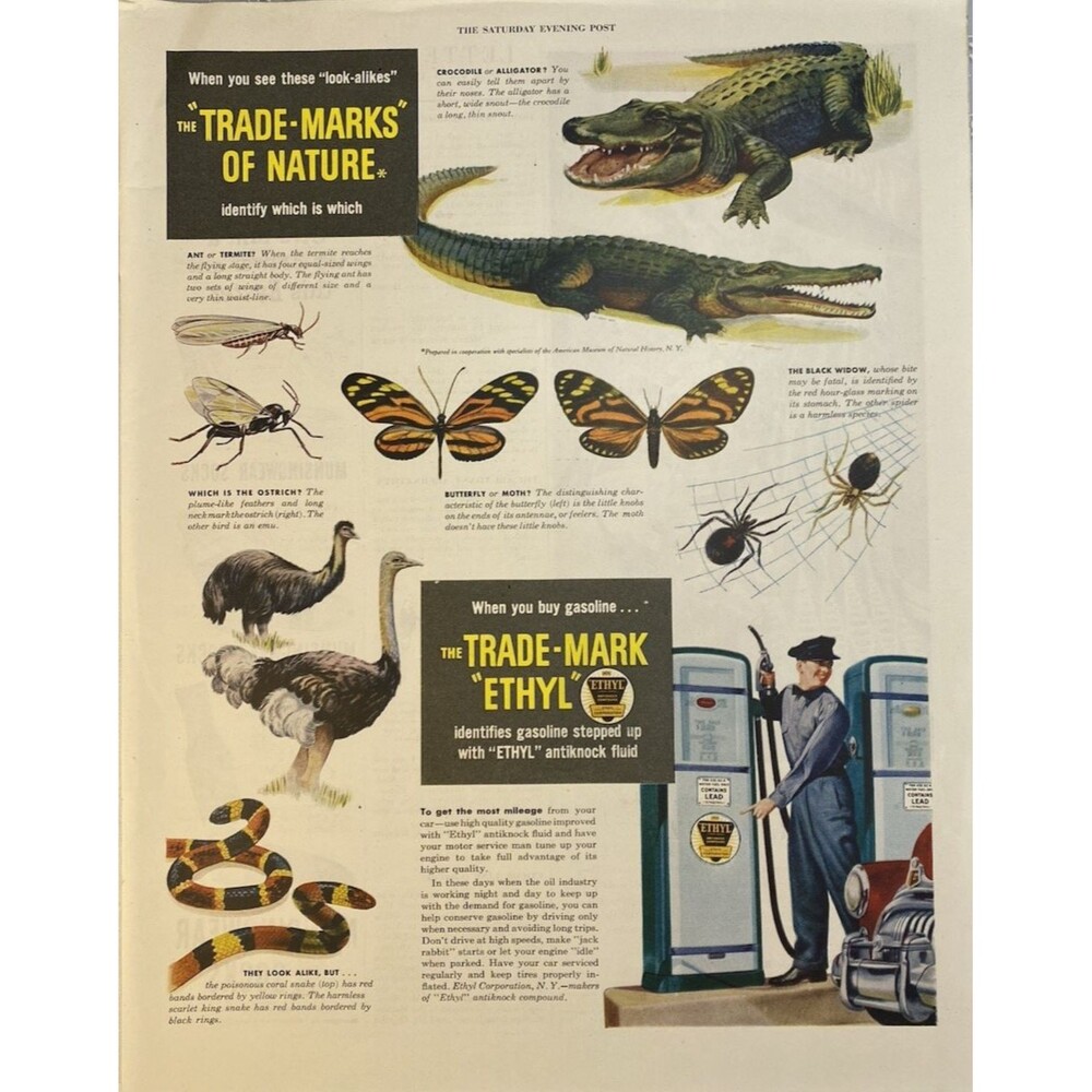 ETHYL The Trade-Mark when you buy Gas" Animals & Insects Vintage Print Ad 1949